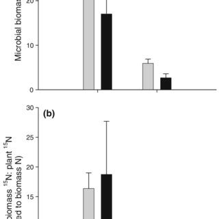 Mean Ratio Of Microbial Biomass N To Plant N Se In Areas