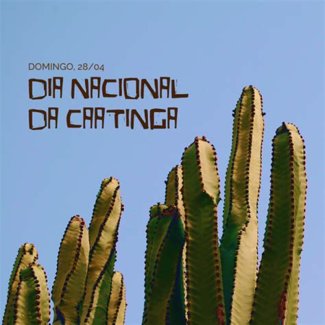 Dia Nacional Da Caatinga - Dia Nacional da Caatinga | Jardim Botânico