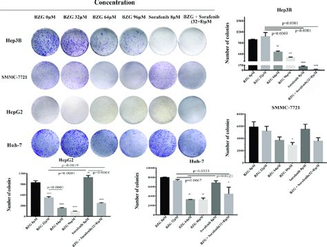 The Anti Proliferation Effects Of Bzg And Sorafenib Hep B Smmc