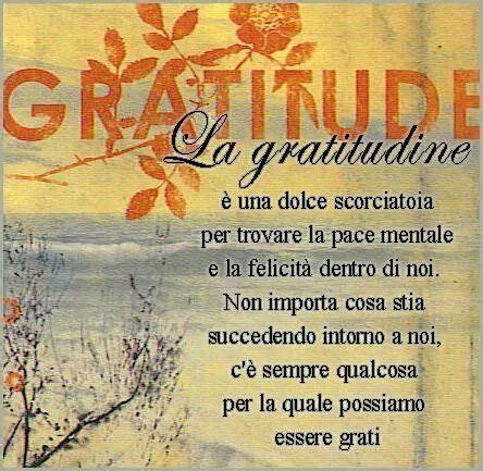 Gratitudine Sempre Gratitudine Citazioni Sulla Gratitudine Citazioni