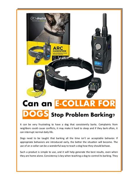 Can an e collar for dogs stop problem barking