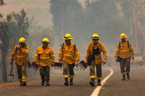 Chile Hunderte Waldbrände mindestens 22 Tote DER SPIEGEL