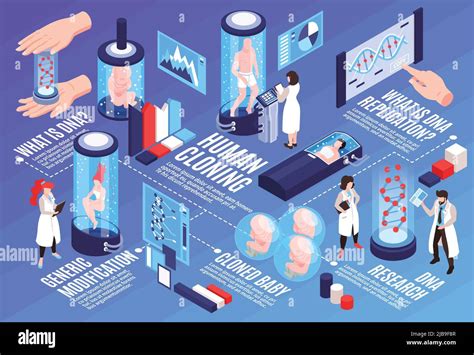 Human Cloning Infographics Horizontal Illustration With Text And Visual