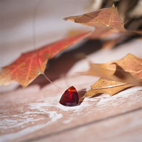 About Naked Earth Naked Earth