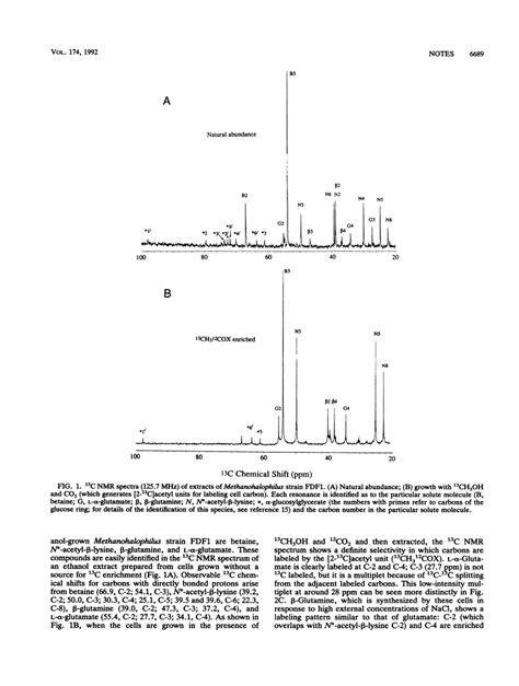 Biosynthetic Pathways Of The Osmolytes N Epsilon Acetyl Beta Lysine