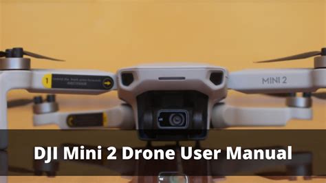 DJI Mini 2 Drone User Manual | Drones-Pro