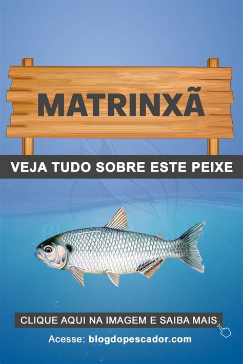 A Sign That Says Matrinxa And The Words In Spanish Above It Are Fish