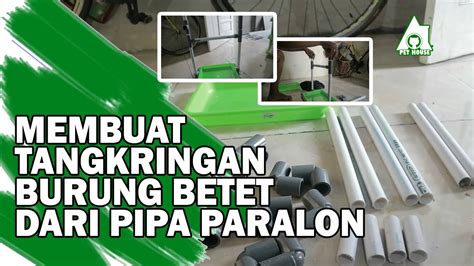 Cara Membuat Tangkringan Burung Betet Dari Pipa Paralon Youtube