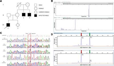 Frontiers Case Report Genetic Analysis Of A Novel Frameshift