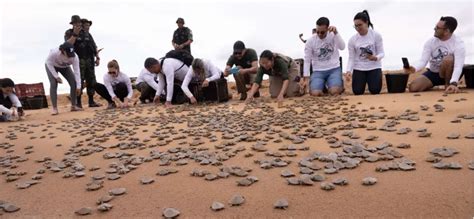 Projeto Na Amaz Nia Entrega Cerca De De Quel Nios Natureza