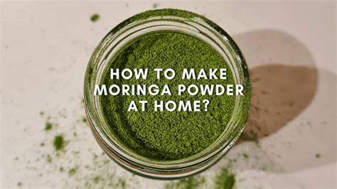 How To Make Moringa Powder At Home Thinglish Lifestyle