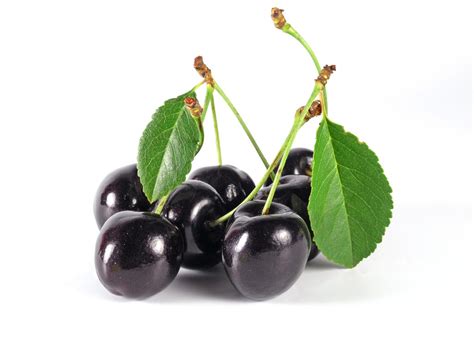 Black Cherry 10 Health Benefits Best Herbal Health