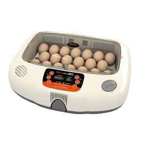 Top 10 Best Egg Incubators In 2025 Reviews Incubator Warehouse