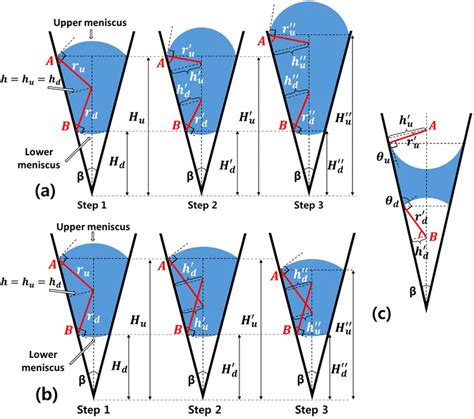 Schematic Diagram Of Droplet Movement In Different Wetting Condition