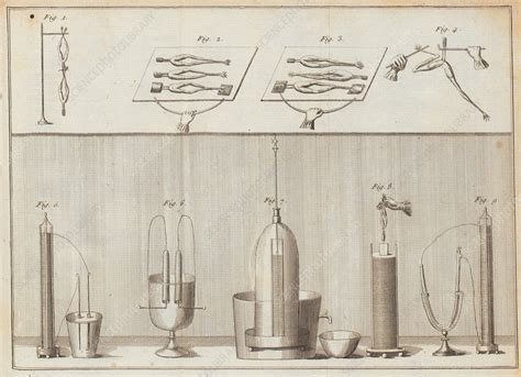 Galvani's frog legs experiments, illustration - Stock Image - C050/0670 - Science Photo Library