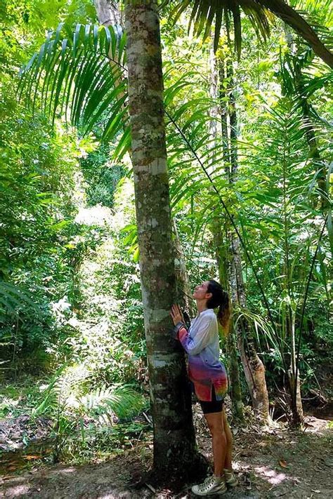 4 dicas sobre como agir proativamente em prol da preservação da Amazônia