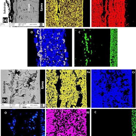 Sem Micrograph And X Ray Mapping Along The Cross Section For The