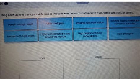 Drag Each Label To The Appropriate Box To Indicate Whether Each