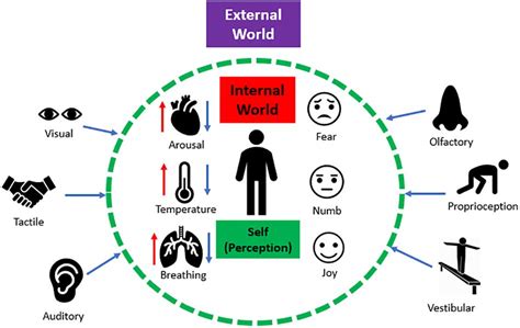 Sensory Interaction Psychology