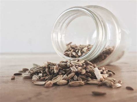 Fennel Tea: Benefits, Health Information, and Side Effects