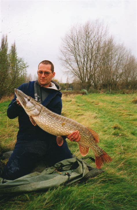 Maidstone Victory Angling Society | River Medway – Fish