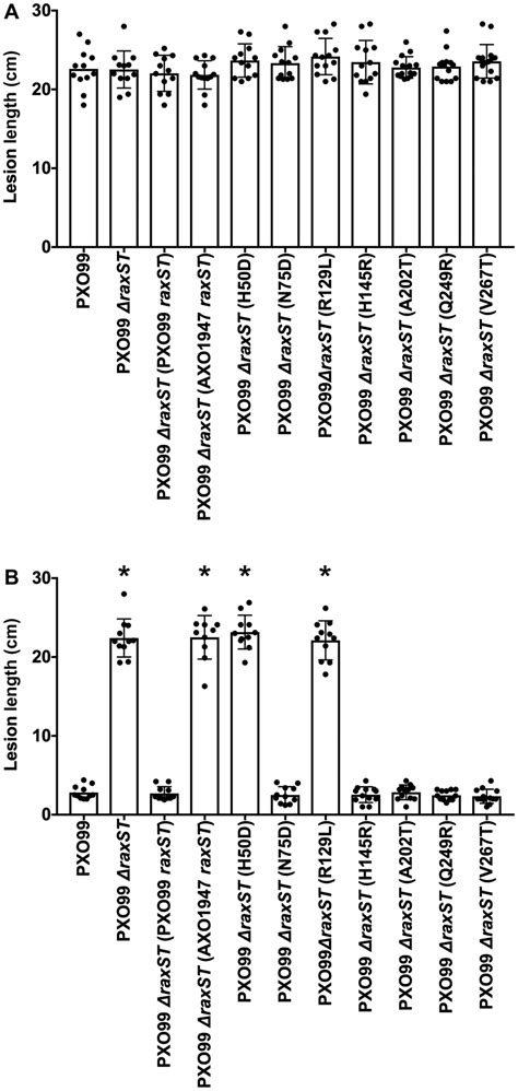 Two Missense Substitutions Inactivate Raxst In Xoo Strain Axo1947 Each