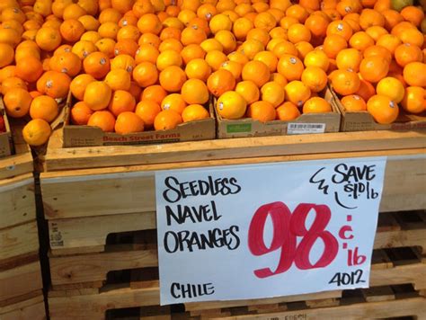 Robust Demand Continues for Chilean Navel Oranges - Perishable News