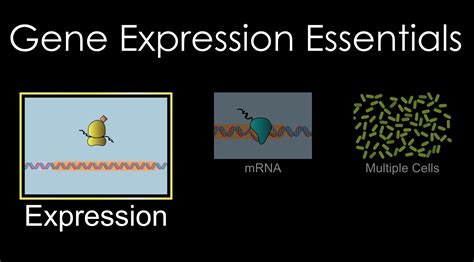 Gene Expression Sciencewiz