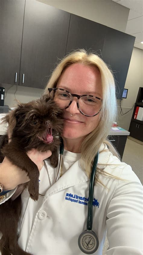 orchard lake animal hospital 2