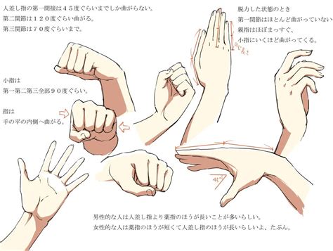 anime hands | Hands Anatomy v2 in BeginnersUnite , by Bardi3l Girl ...