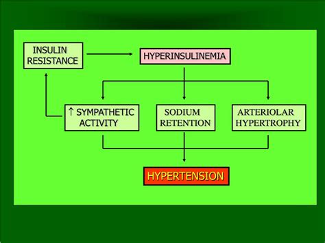 Ppt Pathophysiology Of Hypertension Powerpoint Presentation Free