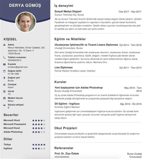 Profesyonel CV Örnekleri Boş CV Şablonları