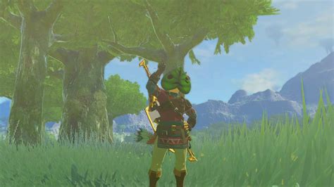 Legend Of Zelda Tears Of The Kingdom How To Find Koroks Easier