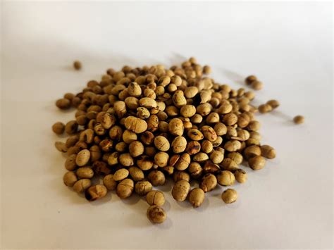 Roasted Soybeans Farm Fresh With Red Jacket Roasting System