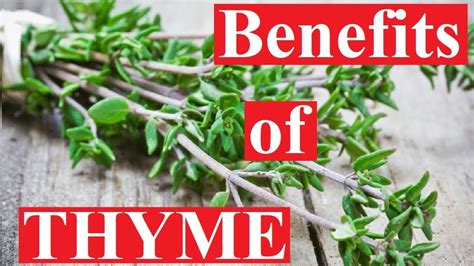 Amazing Benefits Of Thyme Youtube