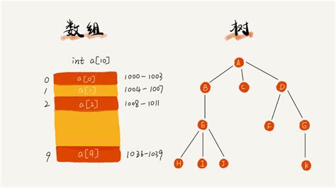 数据结构与算法之美 一起学习