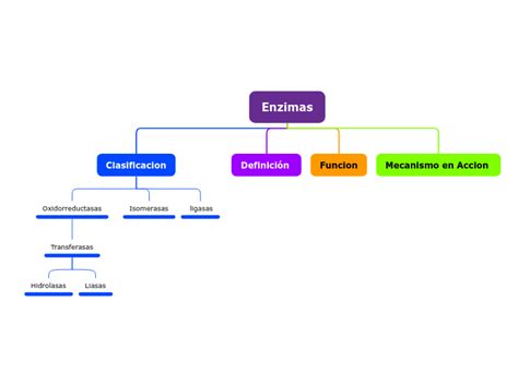 Enzimas Mind Map