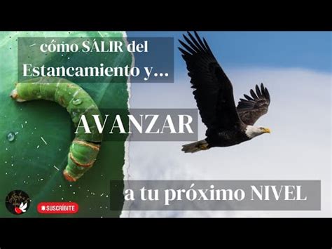 C Mo Salir Del Estancamiento Y Avanzar A Tu Pr Ximo Nivel Youtube