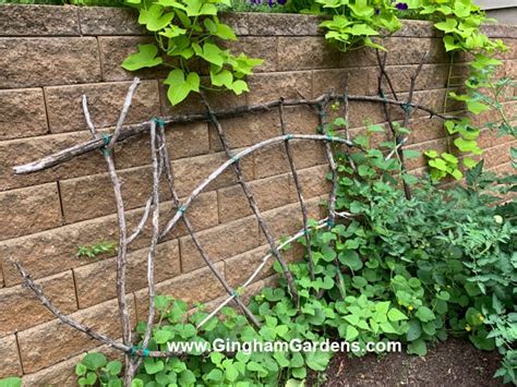 Easy Diy Garden Decor Using Tree Branches Gingham Gardens