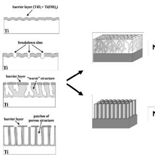 6 Schematic representations of the different stages of the anodization ...