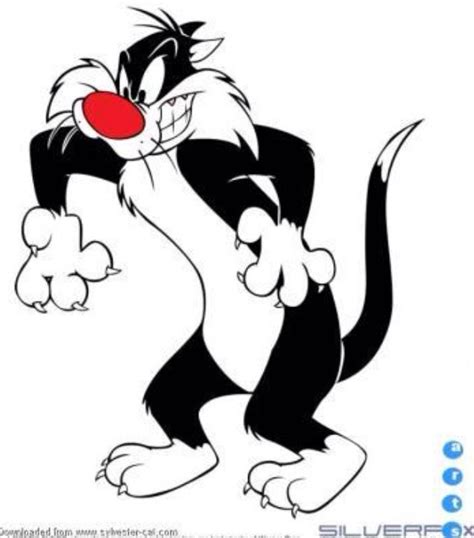 Sylvester The Cat Sylvester The Cat Looney Tunes Looney Tunes Cartoons