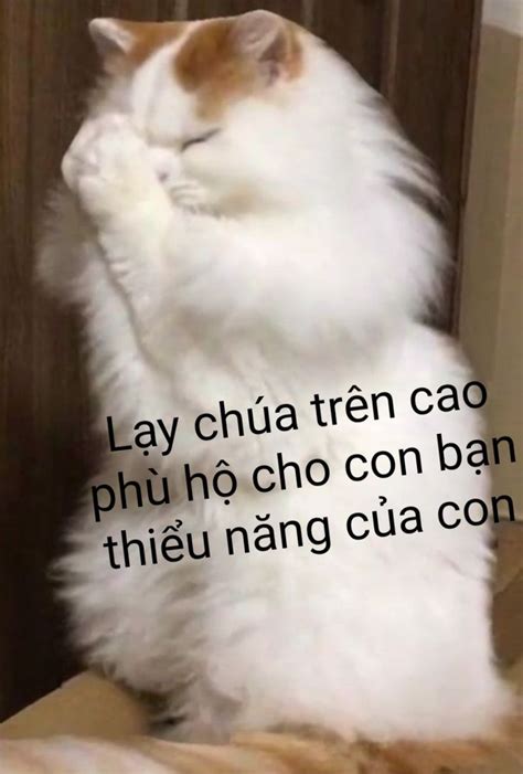 Lạy Chúa Ảnh Vui Hài Hước Meme