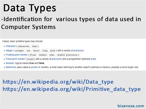 6 Data Types - Intro to Programming - Bizanosa