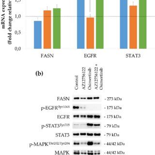 Effects On MRNA Levels And Protein Expression Caused By The Combination