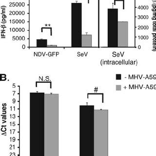 IFN MRNA Status And IRF 3 Localization In NDV Or SeV Infected Cells