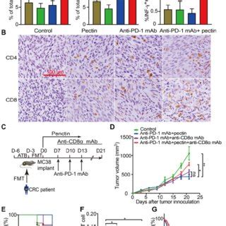 Pectin Supplement Combined With Anti Pd Mab Promoted T Cell