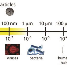 Classification Of Nanomaterials Based On Dimensions Top Panel