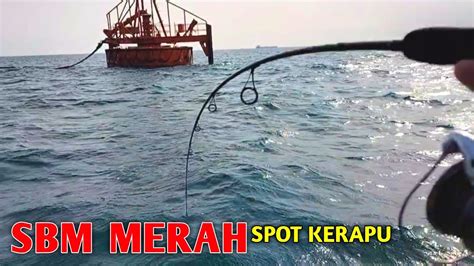 DISINI SBM MERAH SPOT KERAPU LAUT INDRAMAYU YouTube