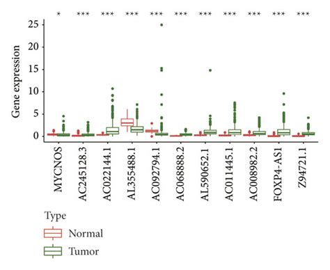 Identification Of Necroptosis Related LncRNAs In Ovarian Cancer A