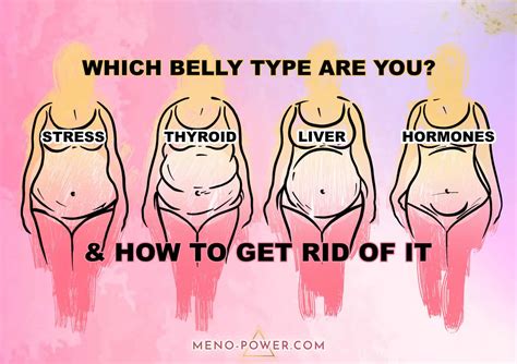 Different Types Of Belly Fat In Females Plus How To Lose Yours